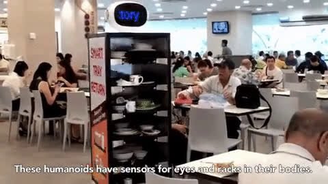 giphy (4).mp4
